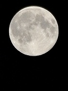 24th Aug 2010 - Rakhi Moon