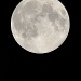 Rakhi Moon by andycoleborn