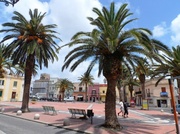 10th Jun 2013 - Palm-fringed Piazza