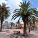 Palm-fringed Piazza by will_wooderson