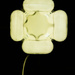 Light bulb flower by rachel70