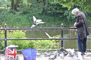 17th Jun 2013 - Feed The Birds