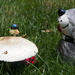 Guarding the Mushroom by hjbenson
