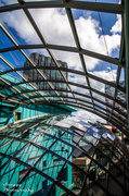 15th Jun 2013 - Day 166 - Cabot Canopy