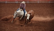 18th Jun 2013 - At the campdraft in Kumbia Queensland