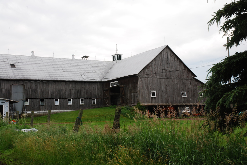 Century barn by farmreporter