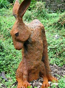 18th Jun 2013 - 'cross hare'