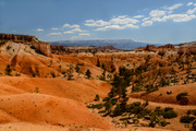 15th May 2013 - Bryce Landscape 