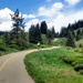 Vail Pass Bike Trail by lynne5477