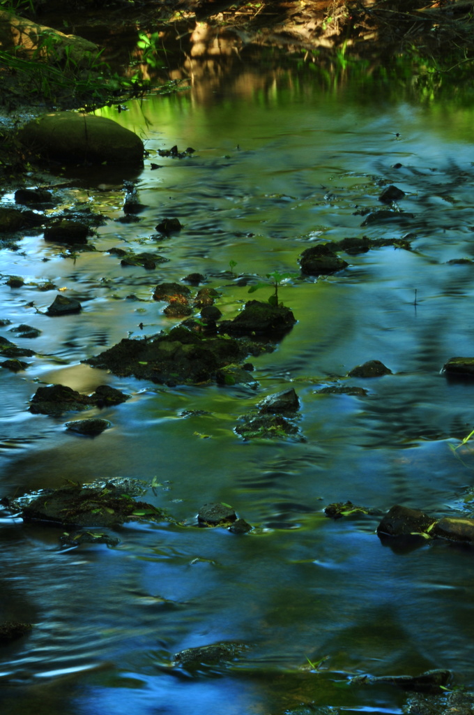 Reflections in the Creek by jayberg