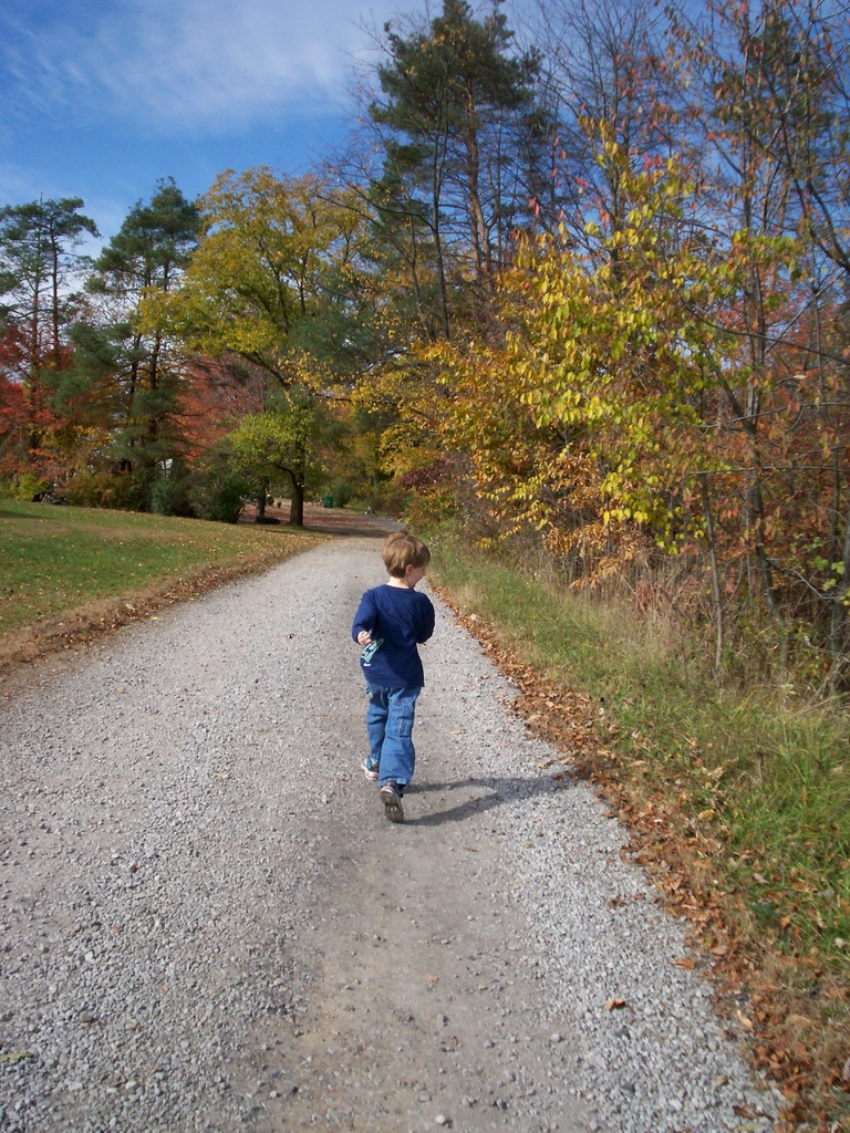 Walking by julie