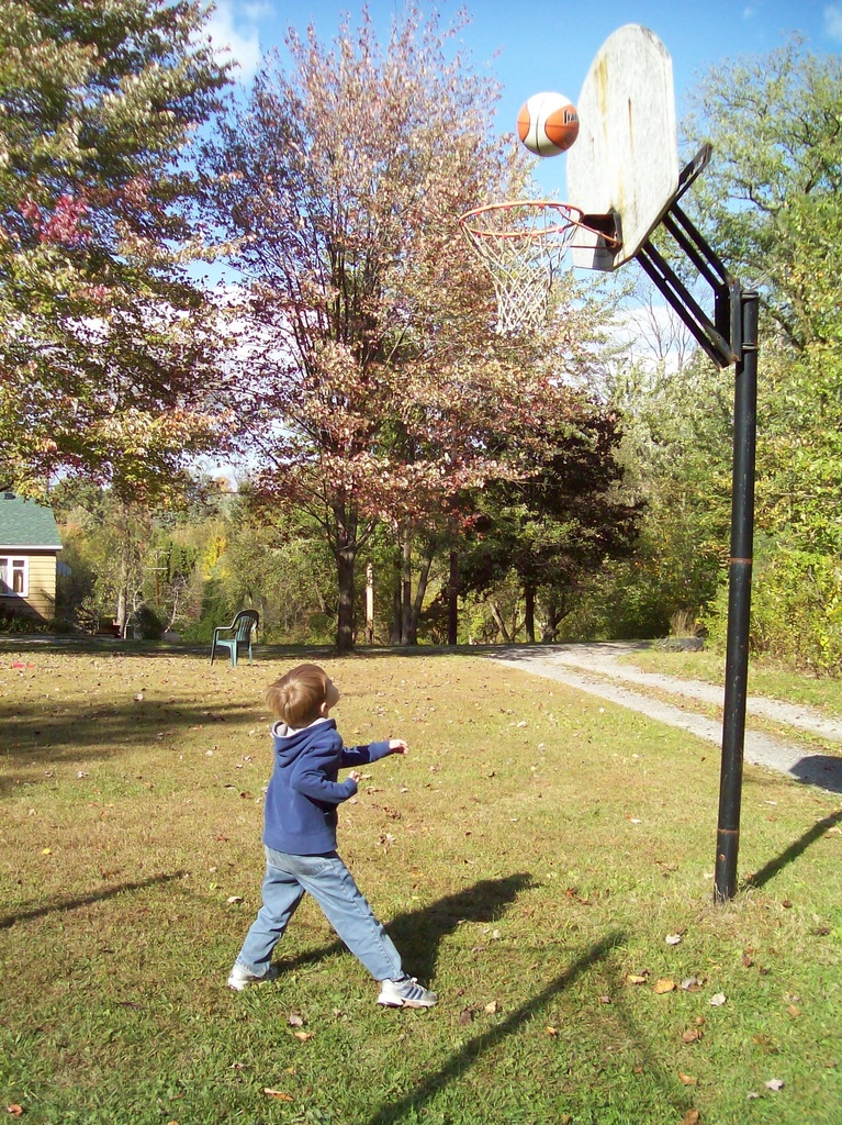 basketball hoop by julie