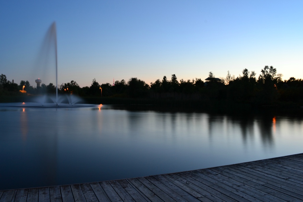 the pond at dusk by summerfield
