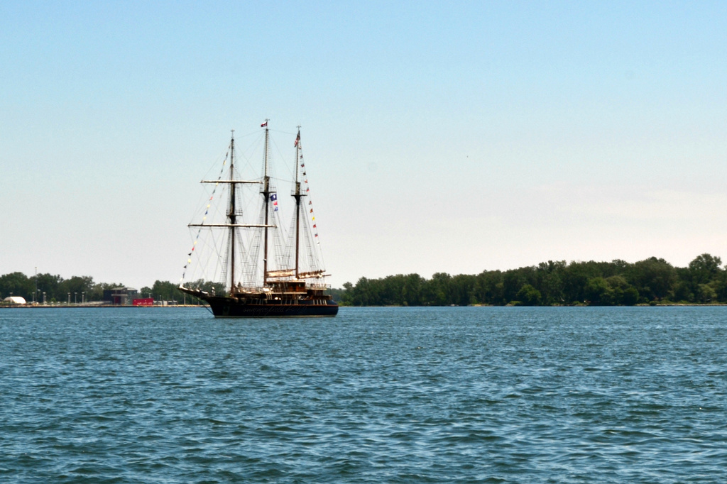 the tall ships are back by summerfield