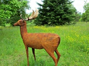 19th Jun 2013 - deer sculpture