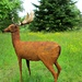 deer sculpture by quietpurplehaze