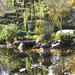 Japanese garden by sugarmuser