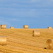 Blue sky and bales by seanoneill