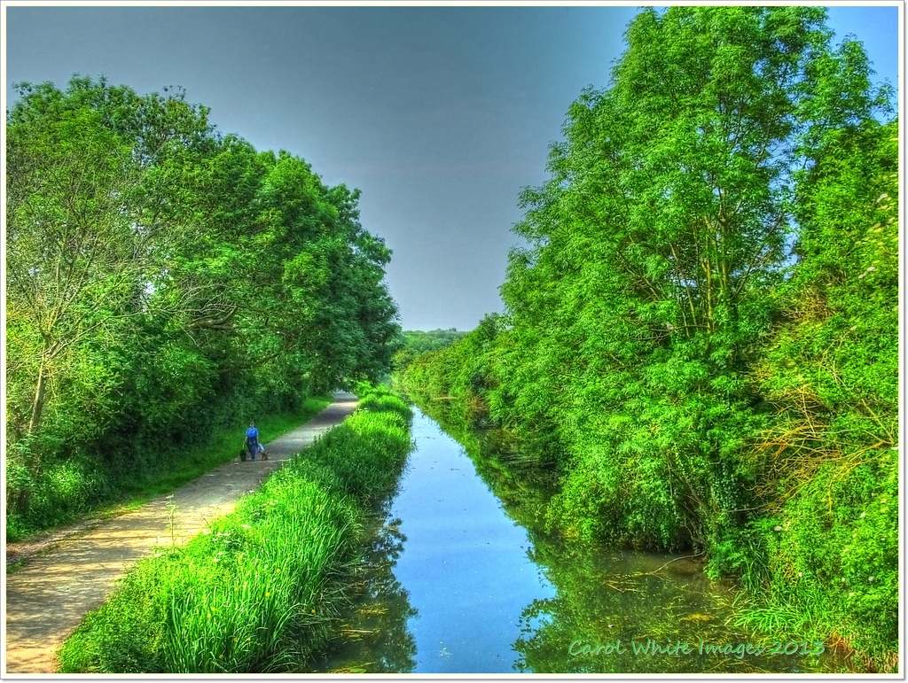 The Grand Union Canal,Upton,Northampton by carolmw