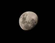 20th Jun 2013 - Moon in June