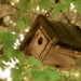 Birdhouse by juletee