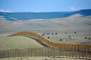 20th Jun 2013 - Fences