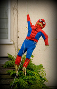 20th Jun 2013 - Spiderman