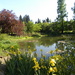 Kew Gardens by oldjosh