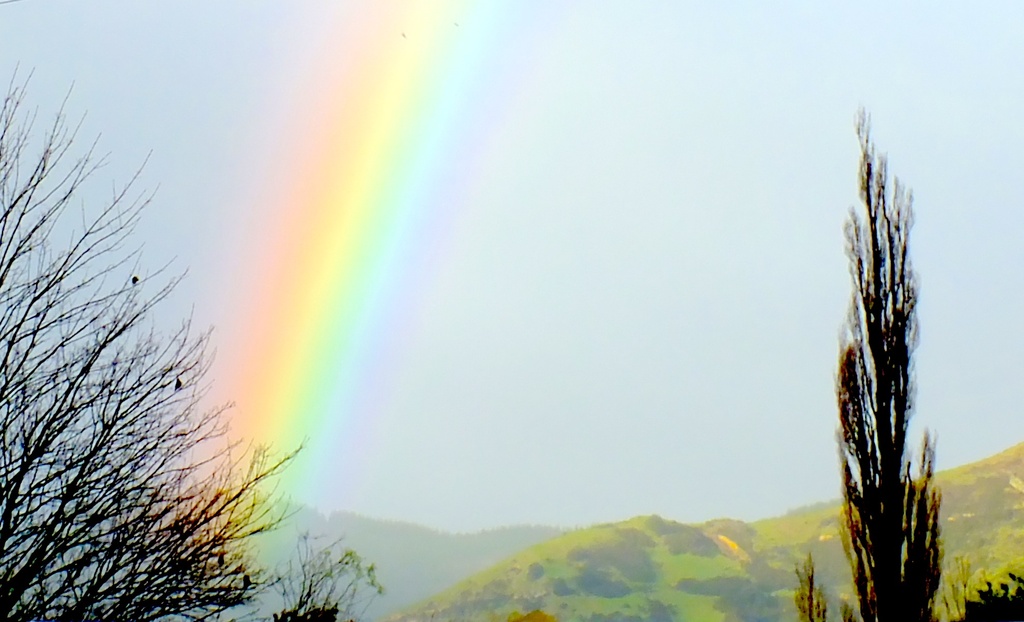 A rainbow promise by kiwinanna