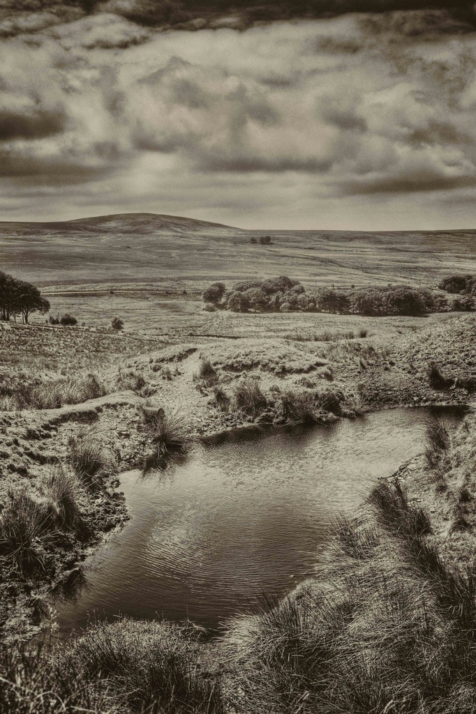 Withnell Moor. by gamelee