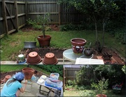 21st Jun 2013 - Backyard Project Phase II