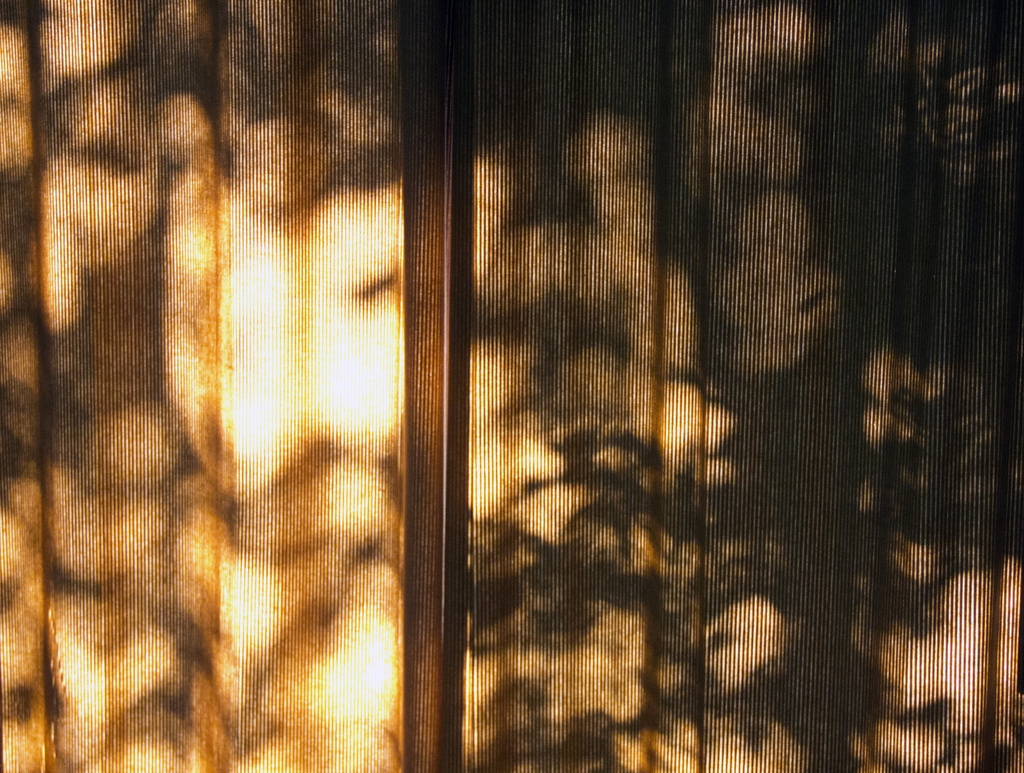 Shadows on the Drape by hjbenson