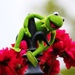 Kermit spotted! by edorreandresen