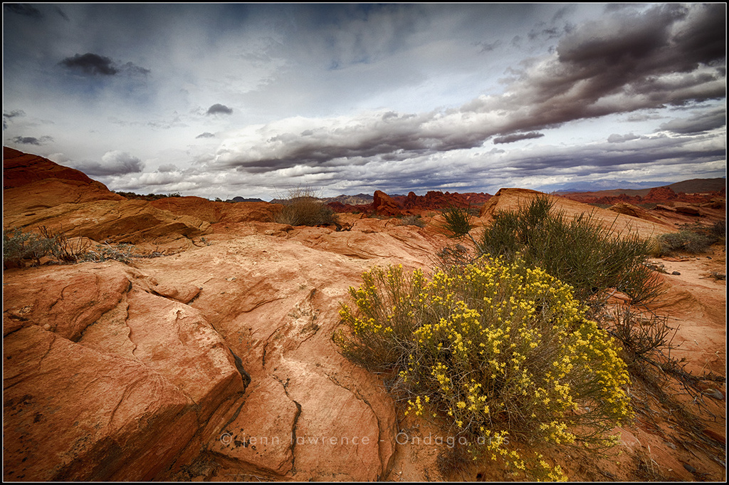 Valley of Fire by aikiuser