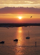 13th Jun 2013 - Poole Harbour Sunset