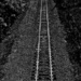 Light Rails by sbolden