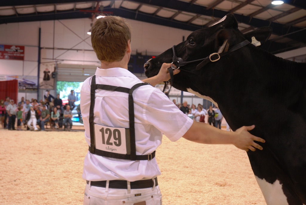 2013 Maxville Spring Show  by farmreporter