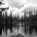 Lily Pad Lake by lynne5477