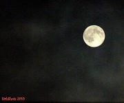 25th Aug 2010 - Last Night's Full Moon
