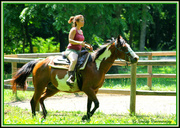 20th Jun 2013 - Horse and rider