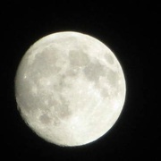 21st May 2019 - Nearly a supermoon  21.5.13