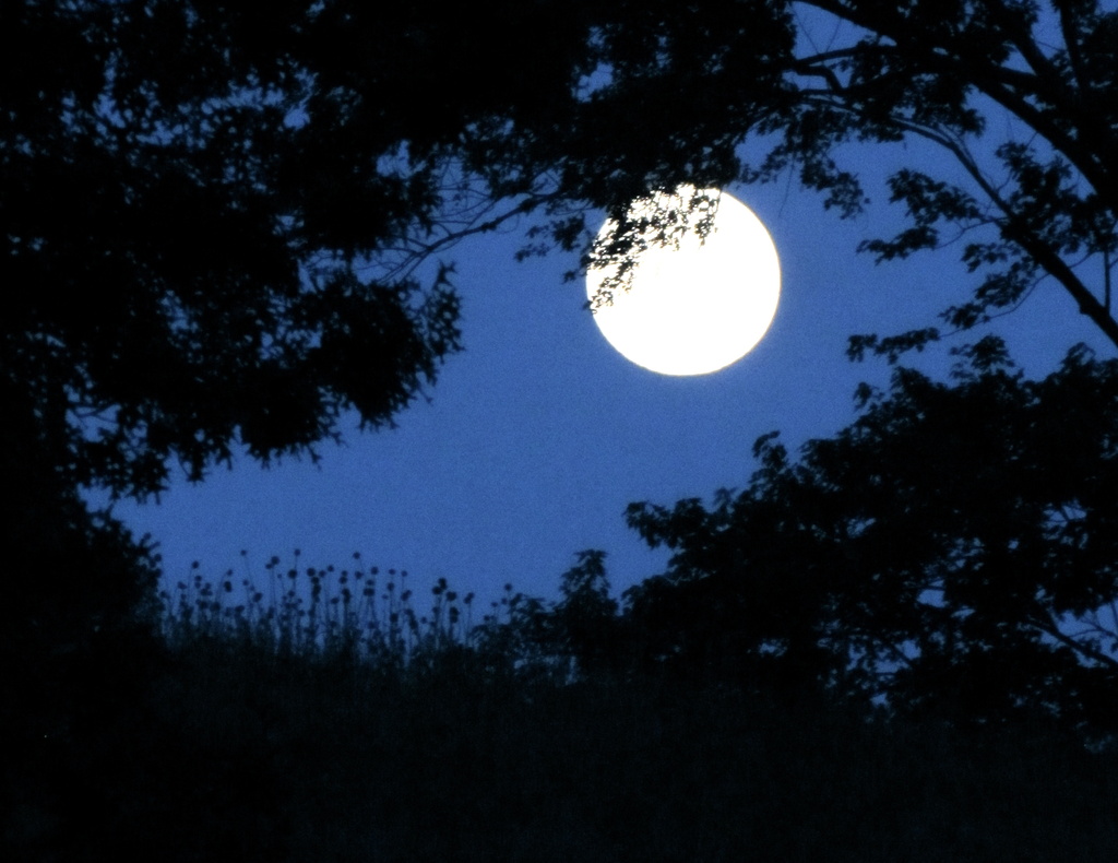 Supermoon in Blue by juletee
