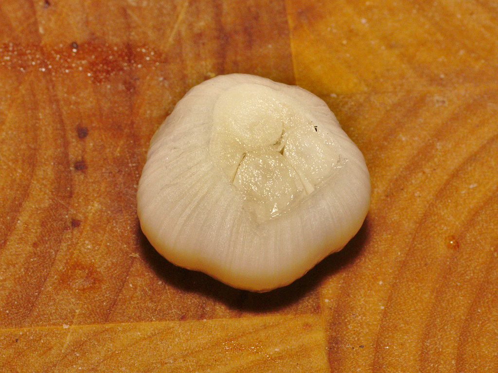 Garlic by darkhorse