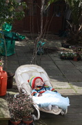 7th Apr 2013 - Nap in the garden