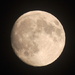 Great SuperMoon! by dianezelia