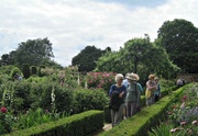 24th Jun 2013 - enjoying the roses in the walled garden