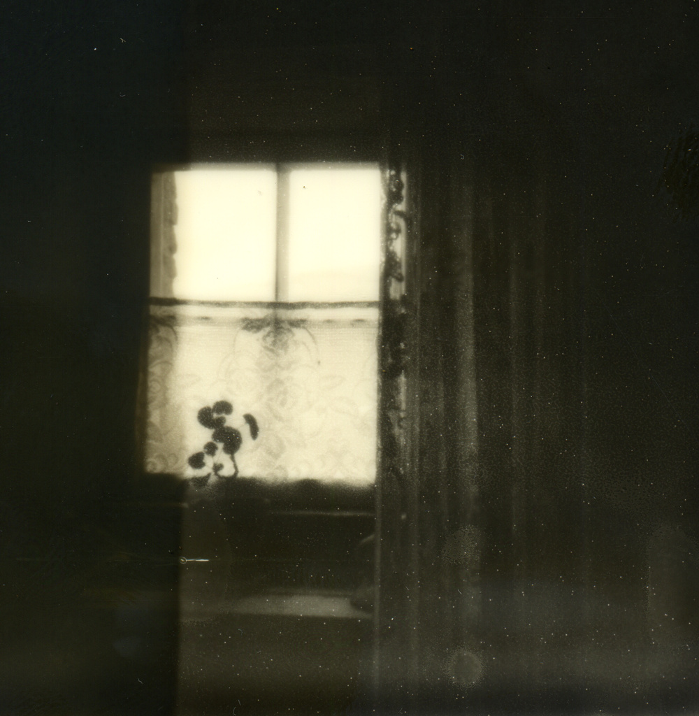 kirbuster window polaroid by ingrid2101