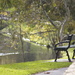 Park bench by sugarmuser