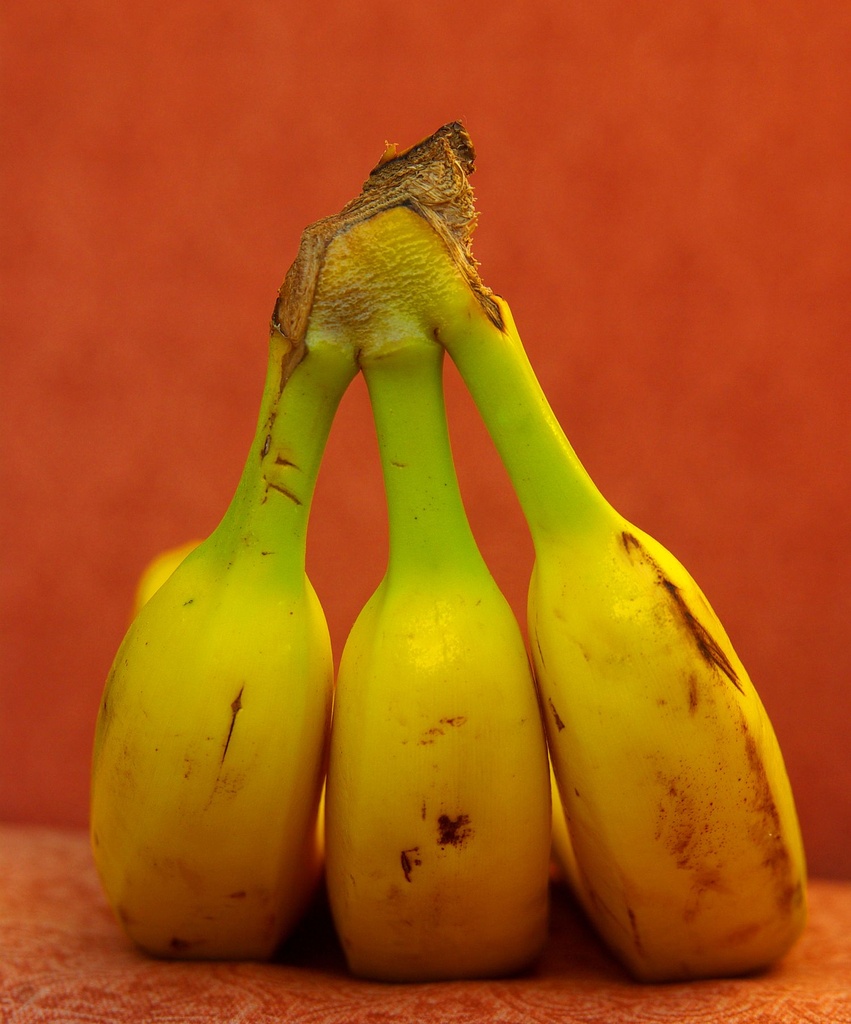 (Day 127) - Triple Banana by cjphoto