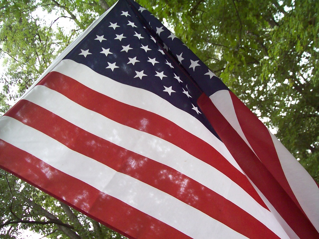 USA Flag by julie